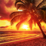 A Sunshine Coast Pop Up Party Venue